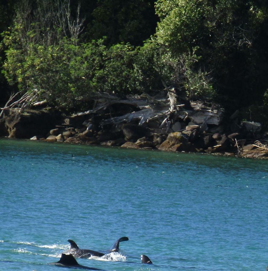 Anchorage Motel Whitianga Kültér fotó